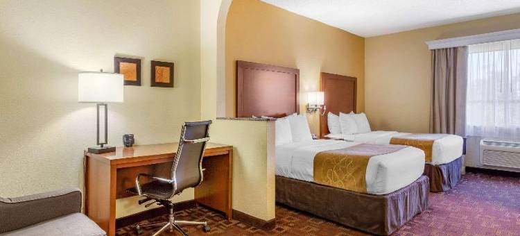 Spark休斯敦加勒里亚购物中心酒店by Hilton(Spark by Hilton Houston Near the Galleria)图片