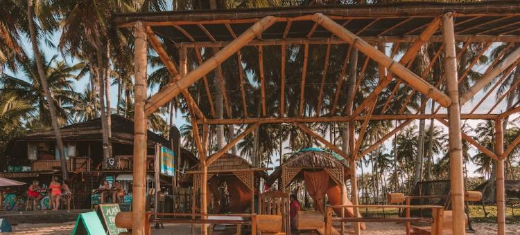 纳潘海滩疯狂猴子青年旅馆(MAD Monkey Hostel Nacpan Beach)图片