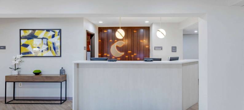 底特律 - 特洛伊舒适酒店(Comfort Inn Detroit - Troy)图片