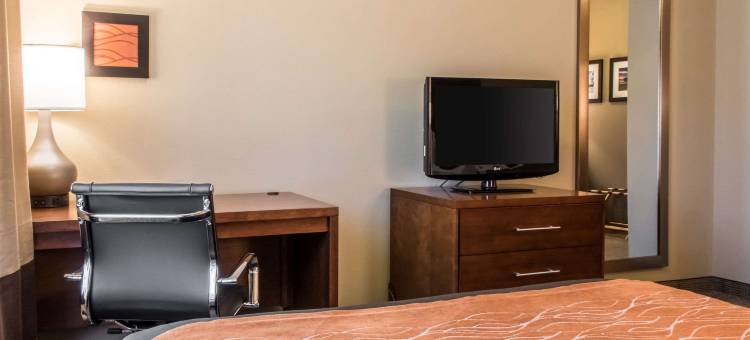 兰开斯特县舒适酒店(Comfort Inn Lancaster County)图片