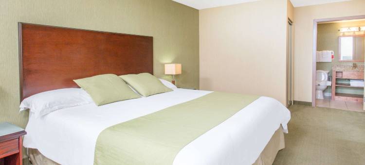 威廉姆斯湖温德姆华美达酒店(Ramada by Wyndham Williams Lake)图片