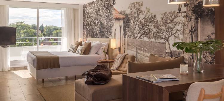 Dazzler by Wyndham Colonia图片