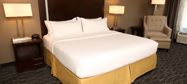 奥马哈南罗尔斯顿竞技场智选假日酒店(Holiday Inn Express & Suites OMAHA SOUTH - RALSTON ARENA by IHG)图片