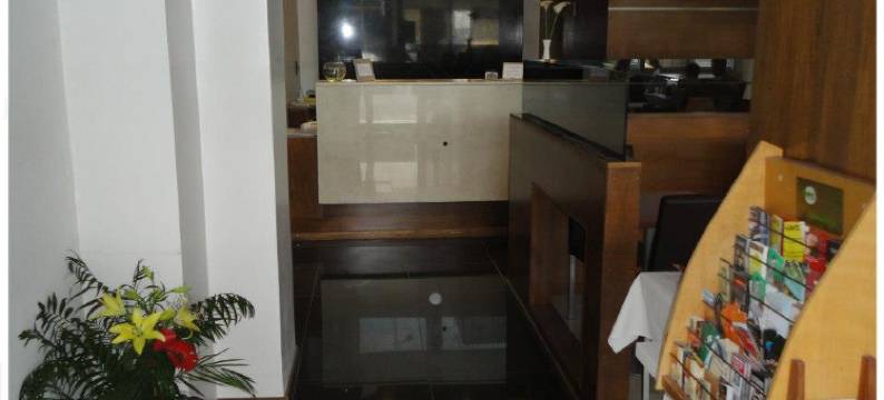 门多萨罗萨里奥酒店(Hotel Mendoza Rosario)图片