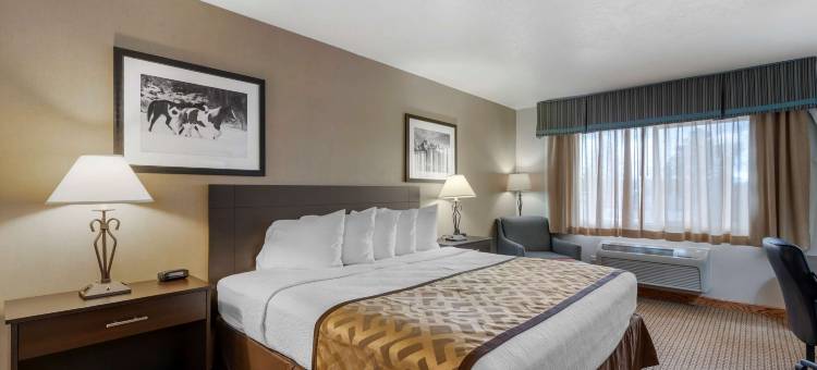 派恩代尔贝斯特韦斯特酒店(Best Western Pinedale Inn)图片