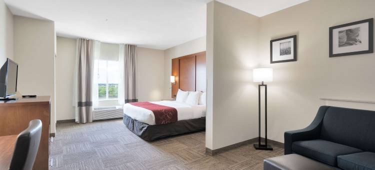 大学城舒适套房酒店(Comfort Suites University)图片