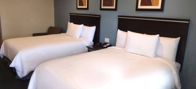 丘拉维斯塔海湾酒店(SureStay Hotel by Best Western Chula Vista San Diego Bay)图片