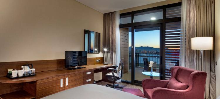 伊兹密尔贝拉克里希尔顿花园酒店(Hilton Garden Inn Izmir Bayrakli)图片