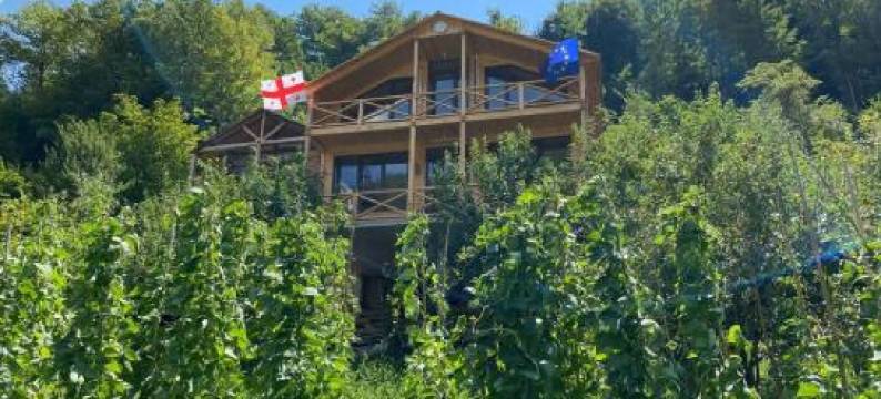 Guest House Okropilauri图片