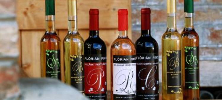 弗洛里安范德海兹酒店(Flórián Vendégház)图片