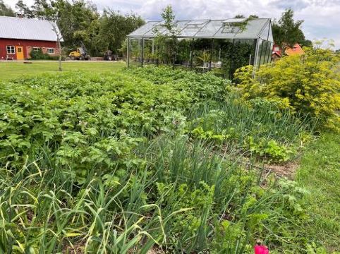 Askebo Brygghus(Askebo Brygghus)图片