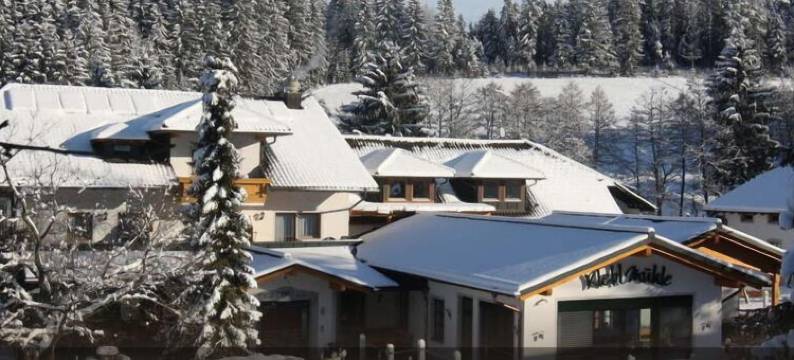 克勒布姆赫艾恩凯尔酒店(Landhotel Kleblmühle)图片