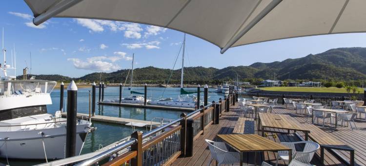 Peppers Blue on Blue图片