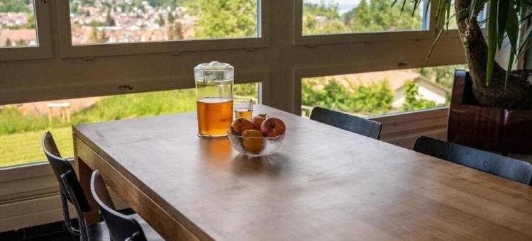 圣加仑青年旅馆(St. Gallen Youth Hostel)图片