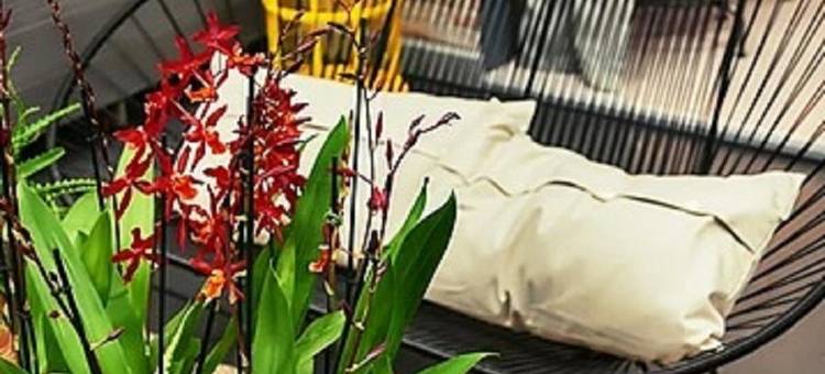 普什帕克公园酒店(Hotel Pushpak Park)图片