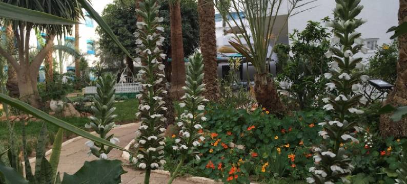 拉瑞斯登斯哈玛麦特酒店(Hotel la Residence Hammamet)图片