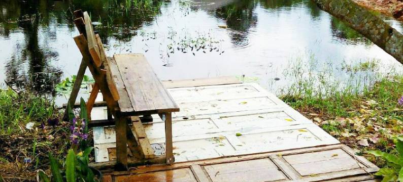 绿色度假村(Go Green Resort)图片