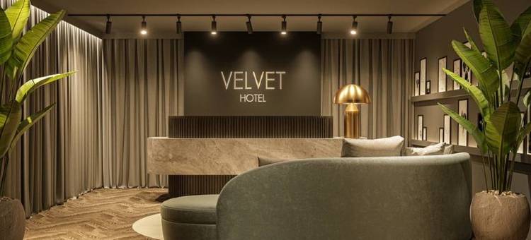 威尔维特酒店(Velvet Hotel)图片