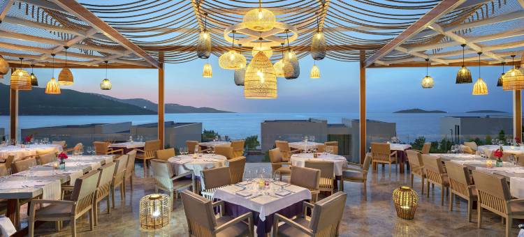 苏索纳博德鲁姆LXR酒店及度假村(Susona Bodrum, LXR Hotels & Resorts)图片