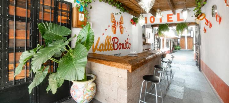 布拉沃谷波尼托谷酒店(Hotel Valle Bonito, Valle de Bravo)图片