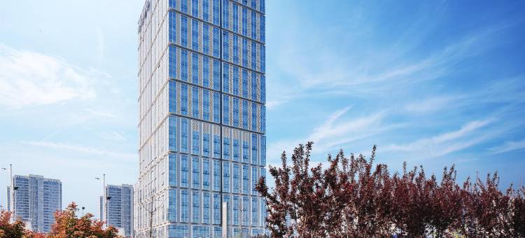 商丘国展绿地铂派酒店图片