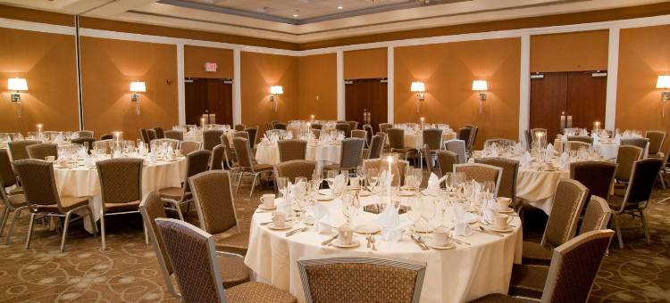 柯林斯威尔圣路易斯希尔顿逸林酒店(DoubleTree by Hilton Collinsville - St. Louis)图片