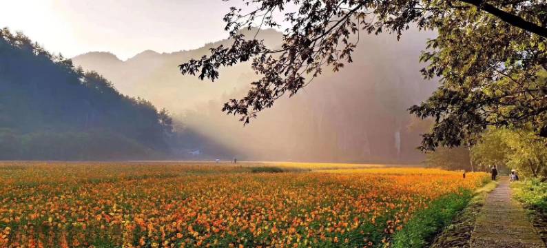 仙都和顺酒家农家乐图片