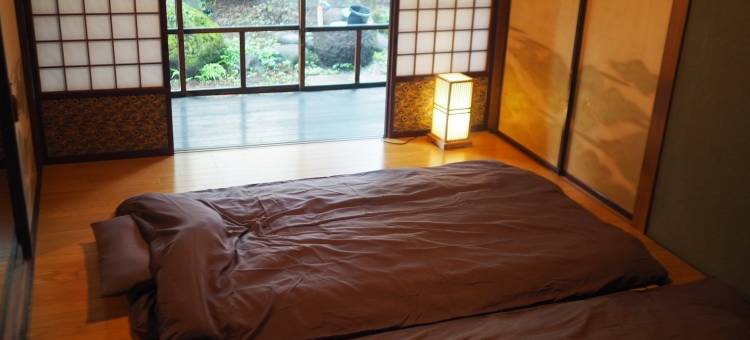 浮木(Driftwood)图片