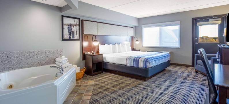 麦迪逊南美吟温德姆酒店(AmericInn by Wyndham Madison South)图片