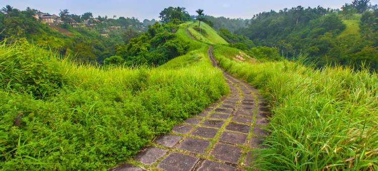 Umah de Arlika Ubud图片