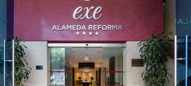 埃克阿拉米达雷福马酒店(Exe Alameda Reforma)图片