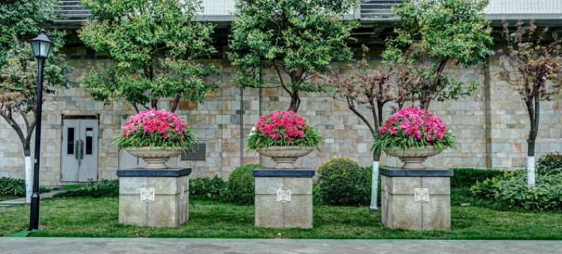 今夜星光闪闪公寓(东华门街分店)图片