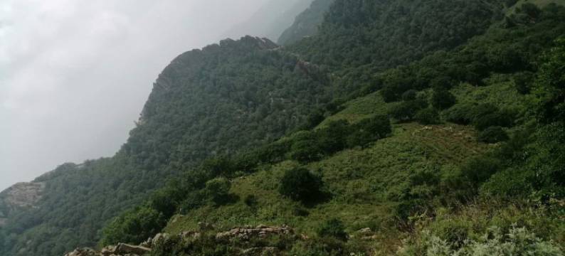 围场月亮湾宾馆图片