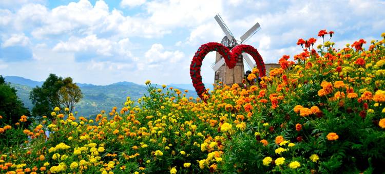 宿务奥夫塔纳套房酒店(靠近奥克里奇)(Oftana Suites Cebu near Oakridge)图片