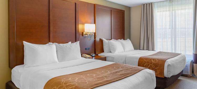 阿米什乡村舒适套房酒店(Comfort Suites Lancaster Amish Country)图片