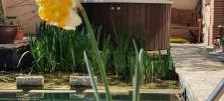 Viento de Ladera Casa Rural Con Piscina Cubierta图片