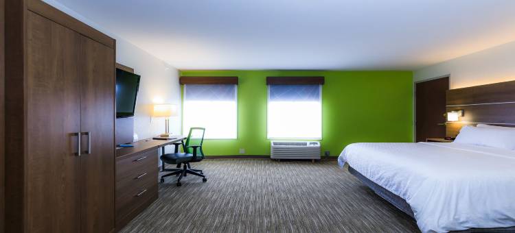 Holiday Inn Express 欧塞奇比奇(Holiday Inn Express OSAGE BCH - LAKE OF THE OZARKS by IHG)图片