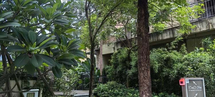 秋秋的管家民宿(博学路分店)图片
