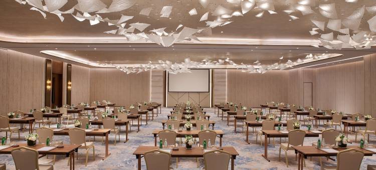 利雅德瑞吉酒店(The St. Regis Riyadh)图片