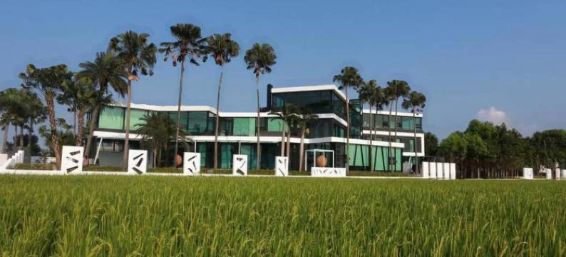 宜兰水岸枫林图片