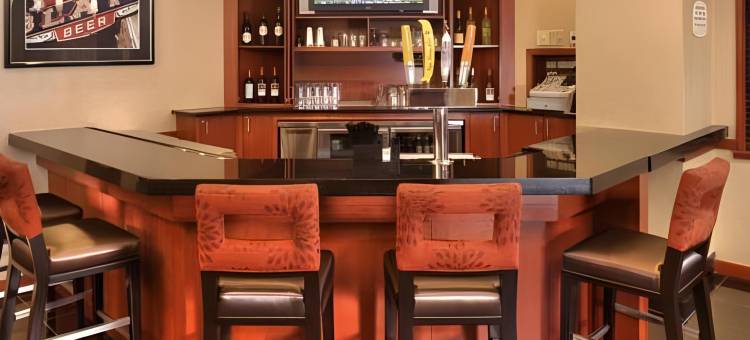 明尼阿波利斯市中心Residence Inn 酒店(Residence Inn Minneapolis Downtown/City Center)图片