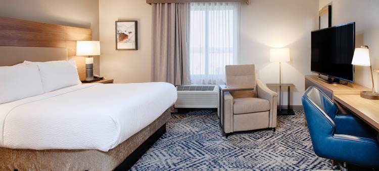 Candlewood Suites Detroit – Sterling Heights图片