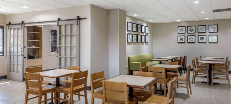 亚特兰大市中心丽怡酒店(Country Inn & Suites by Radisson, Atlanta Downtown)图片