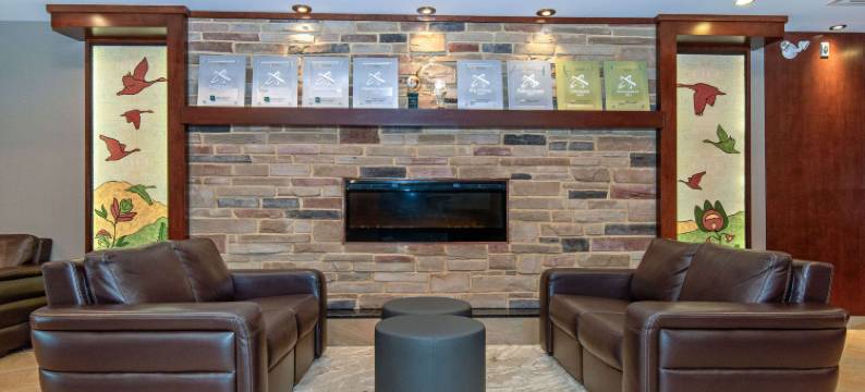 凯艺套房酒店(Quality Inn & Suites)图片