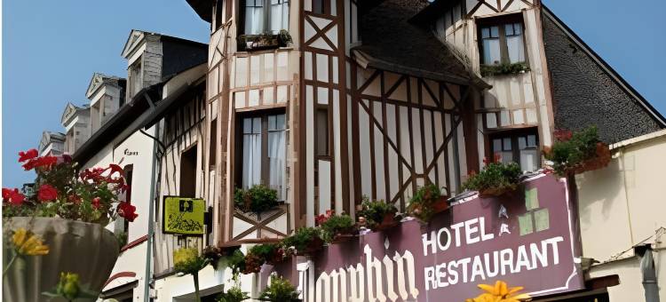 海豚酒店(Logis Hôtel et Restaurant du Dauphin)图片