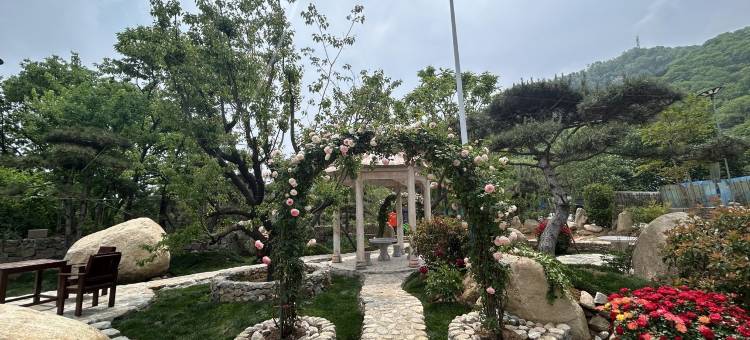 泰山培培度假别墅(泰佛路1号分店)图片