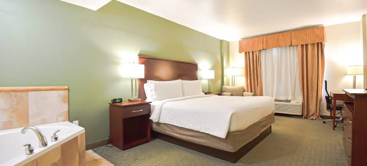智选假日套房酒店可可(Holiday Inn Express & Suites Cocoa)图片