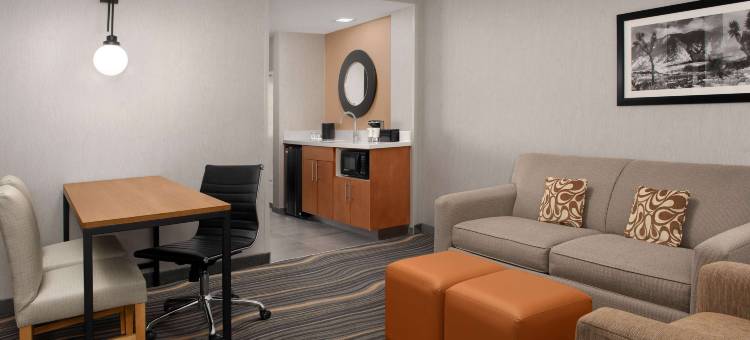 拉昆塔希尔顿安泊水疗酒店(Embassy Suites by Hilton la Quinta Hotel & Spa)图片