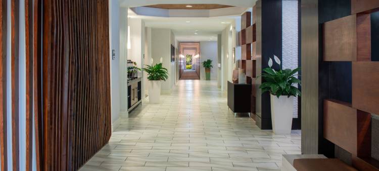 奥兰多会议中心／国际大道区万豪SpringHill酒店(SpringHill Suites Orlando Convention Center/International Drive Area)图片