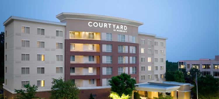 亚特兰大东北德卢斯舒格洛夫万豪万怡酒店(Courtyard Atlanta NE/Duluth Sugarloaf)图片